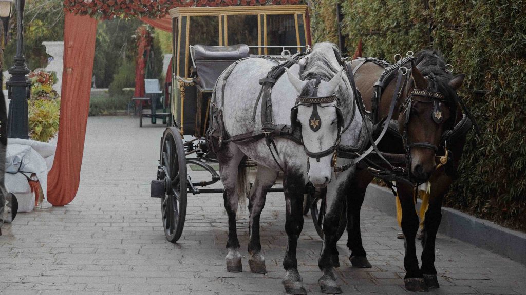 Palace wedding venue in Kathmandu - Heritage wedding - powered by partySewa.jpg